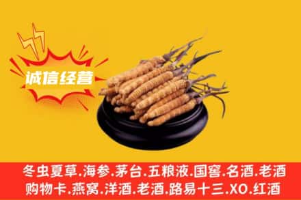 格尔木市回收冬虫夏草